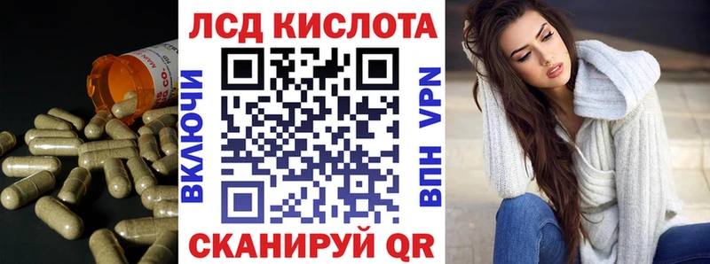 мориарти официальный сайт  Ржев  ЛСД экстази ecstasy 